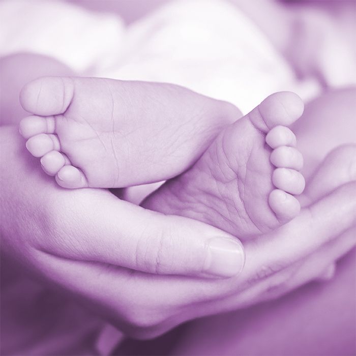 fertility